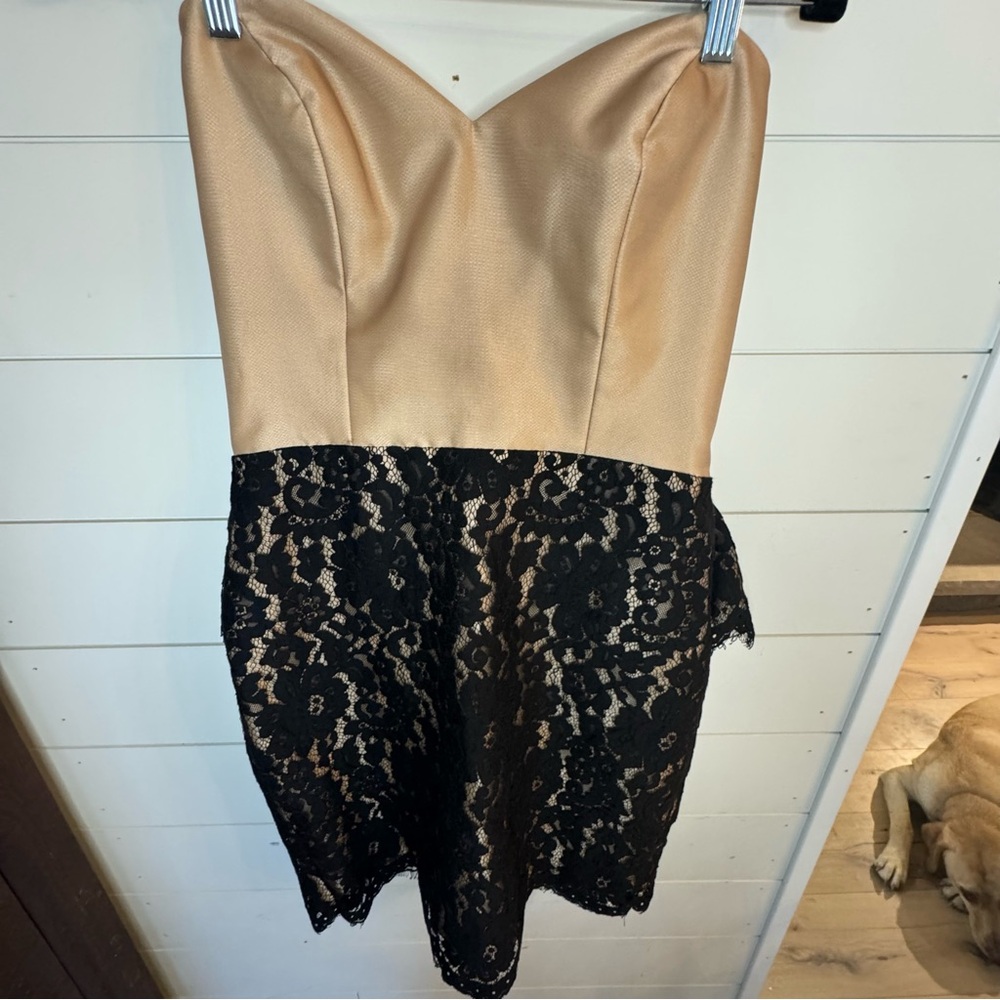 NIOR Strapless cocktail Dress Size 8 Champagne & Black Lace Formal Party dress